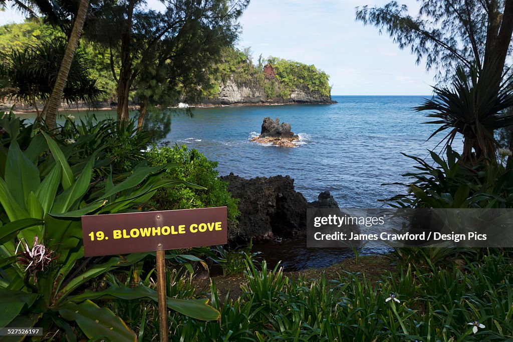 Blowhole Cove in Onomea Bay