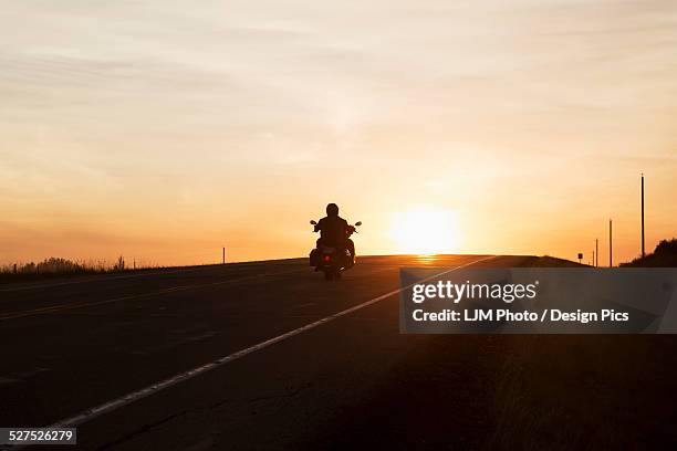 man on a motorcycle at twilight on a highway, near edmonton - edmonton sunset stock pictures, royalty-free photos & images