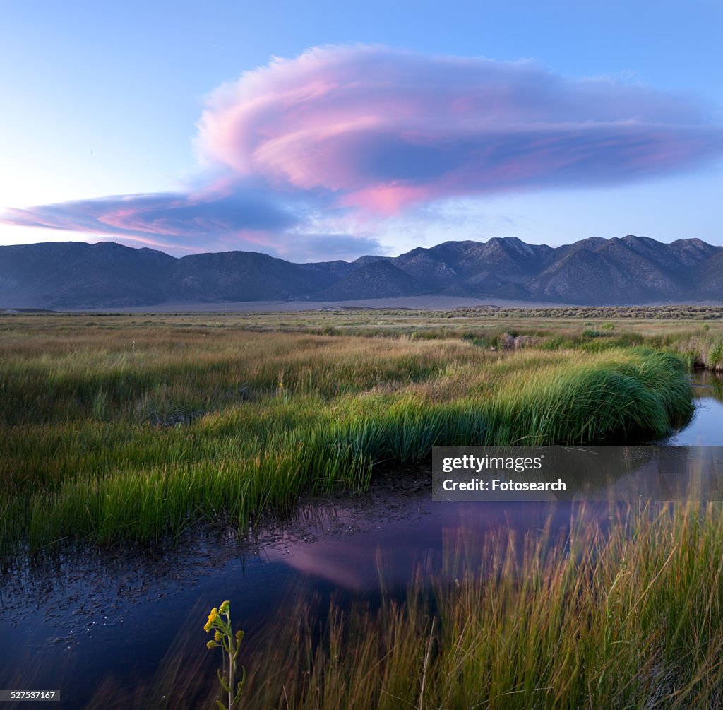 Owens River curving through grassy flatlands with dramatic pink lenticular clouds