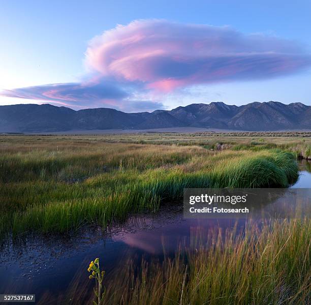 owens river curving through grassy flatlands with dramatic pink lenticular clouds - bishop californie photos et images de collection