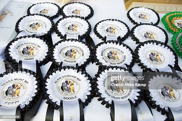 London, UK. Thursday 10th October 2013. MPs and their dogs competing in the Westminster Dog of the Year competition celebrates the unique bond...