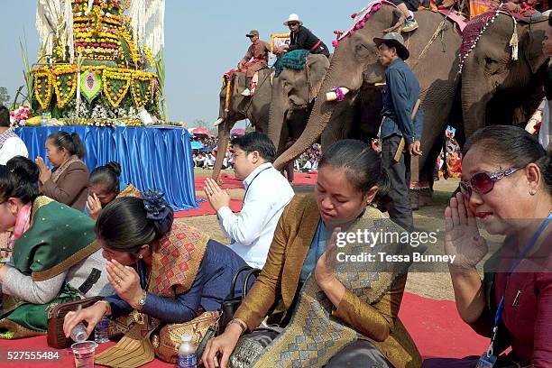 Elephant Welcome Ritual 224 Elephant Blessing Ceremony Stock Photos, High-Res Pictures, and ...