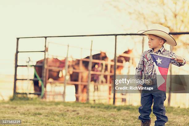 texas cowboy - texas state flag stock-fotos und bilder