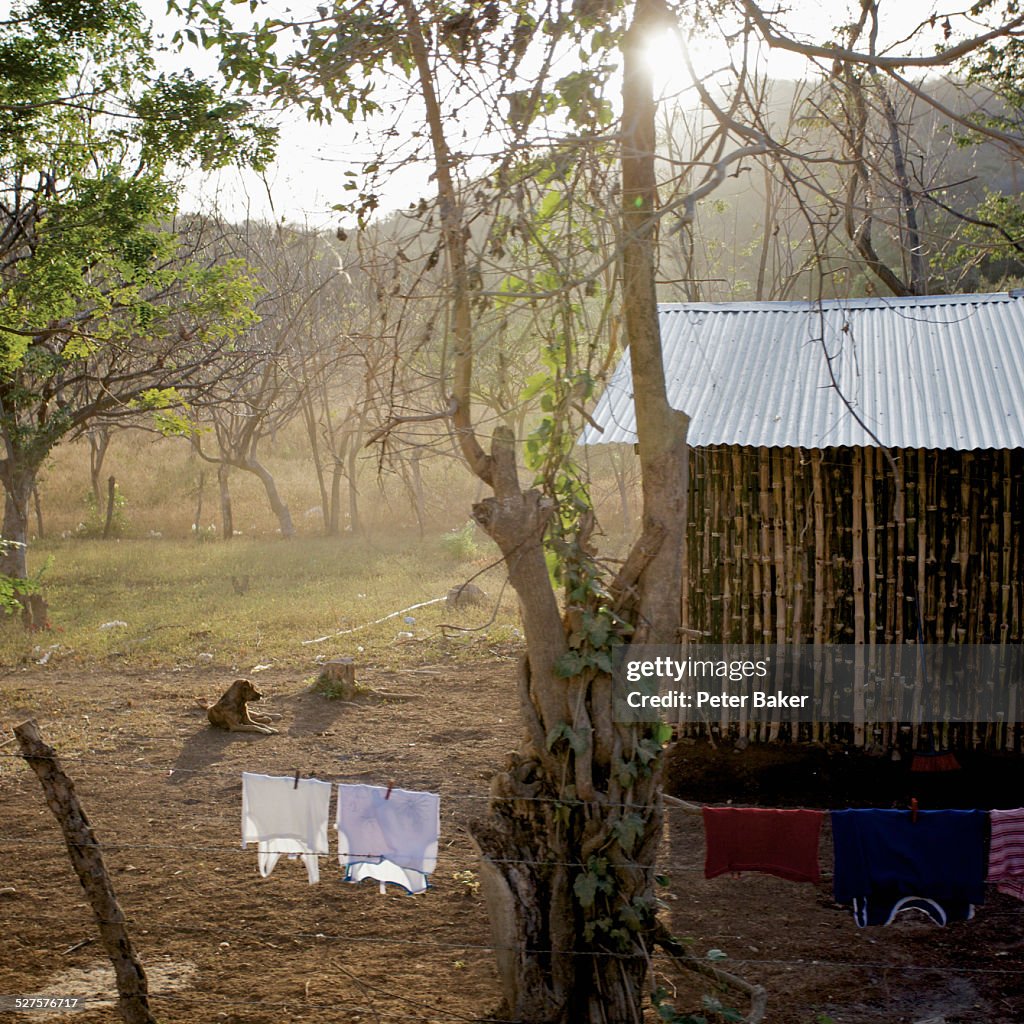 View of a back yard