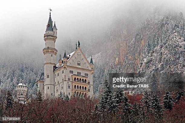 the neuschwanstein castle - hohenschwangau castle stock pictures, royalty-free photos & images