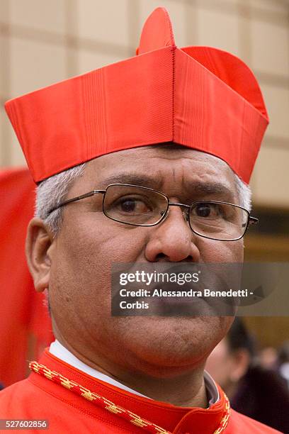 Newly appointed Cardinal Soane Patita Paini Mafi, is greeted by faithfuls and Vatican Curia members in the Apostolic Palace at Vatican. Pope Francis...