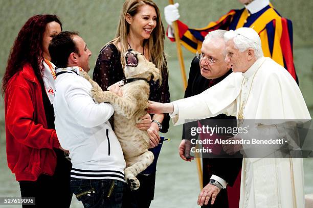 Pope Benedict XVI caresses a little Lion cub during a special audience to circus professionals, carnival people, street artists, madonnari at Nervi...