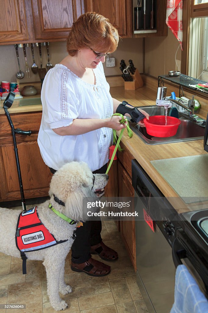 Poodle service dog with his master at the kitchen sink