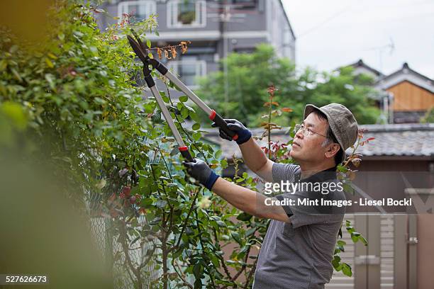 a man working in his garden. - japanese brush stroke stock pictures, royalty-free photos & images