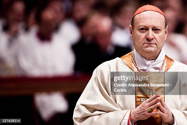 Cardinal Ravasi 195 Gianfranco Ravasi Cardinal Stock Photos, High-Res Pictures, and ...