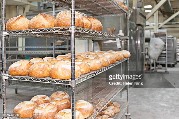 fresh bread in bakery - pan fotografías e imágenes de stock