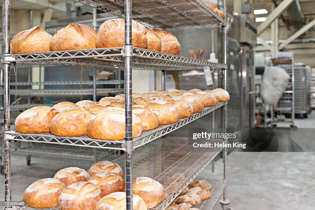 Fresh bread in bakery