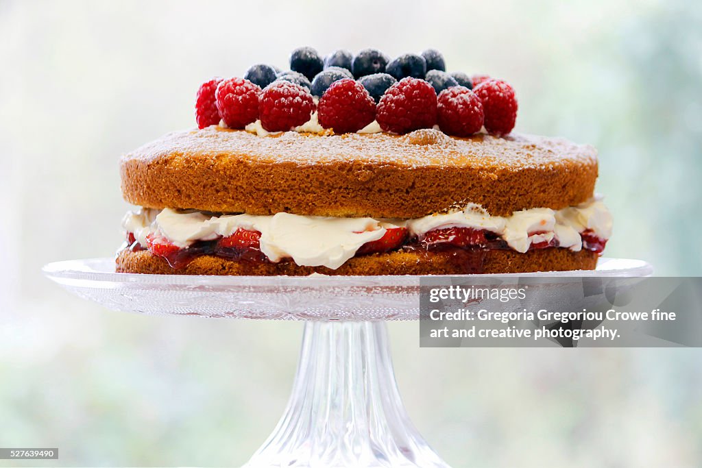 Two-layer Sponge Cake