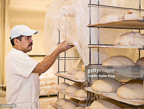 baker covering bread dough waiting to rise - mustache stock pictures, royalty-free photos & images