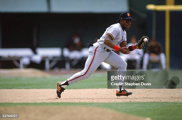 Kevin Mitchell of the San Francisco Giants fields the ball during a 1988 game against the San Diego Padres at Jack Murphy Stadium in San Diego,...