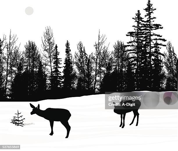 deerwinter - clearing snow stock illustrations