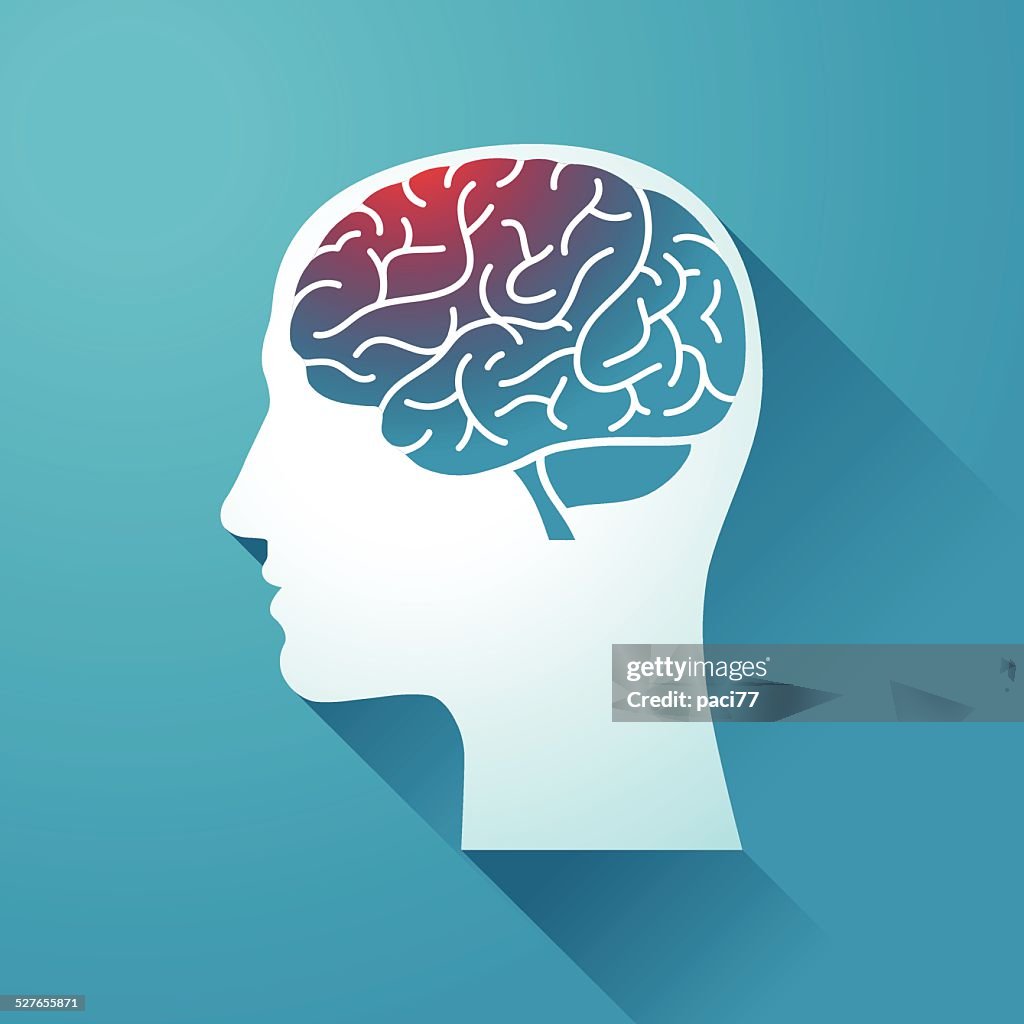 Menschlicher Kopf und Gehirn