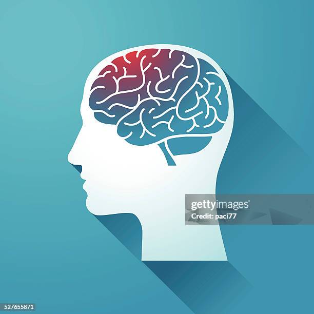 17 967点のヒトの脳イラスト素材 Getty Images 17 967点のヒトの脳イラスト素材 Getty Images