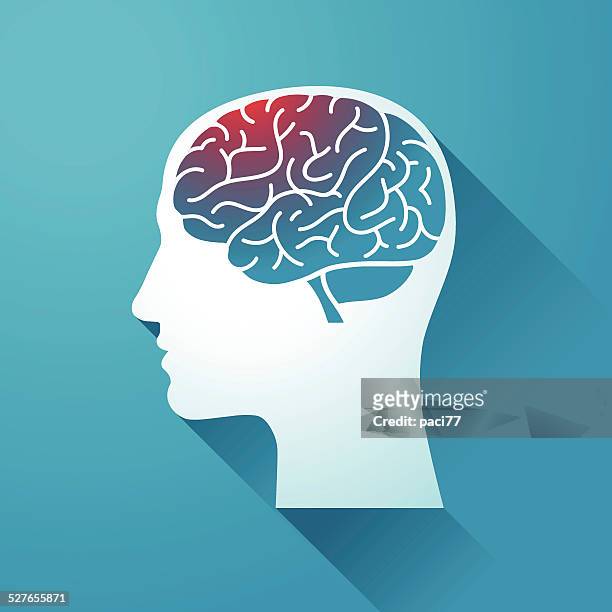 human head and brain - human brain stock illustrations