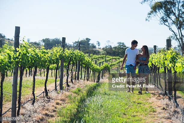 young tourists exploring vineyard in flinders rangers, australia - australia winery stock pictures, royalty-free photos & images