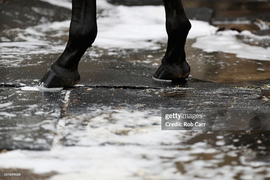 2016 Kentucky Derby - Previews