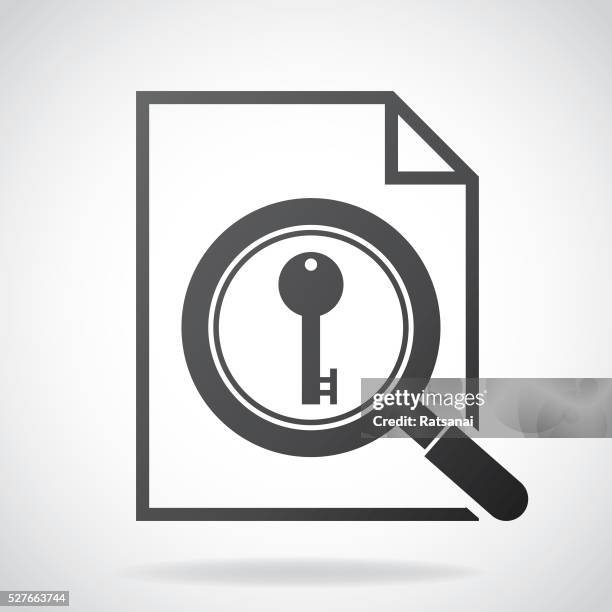 243 Key Findings Icon High Res Illustrations - Getty Images