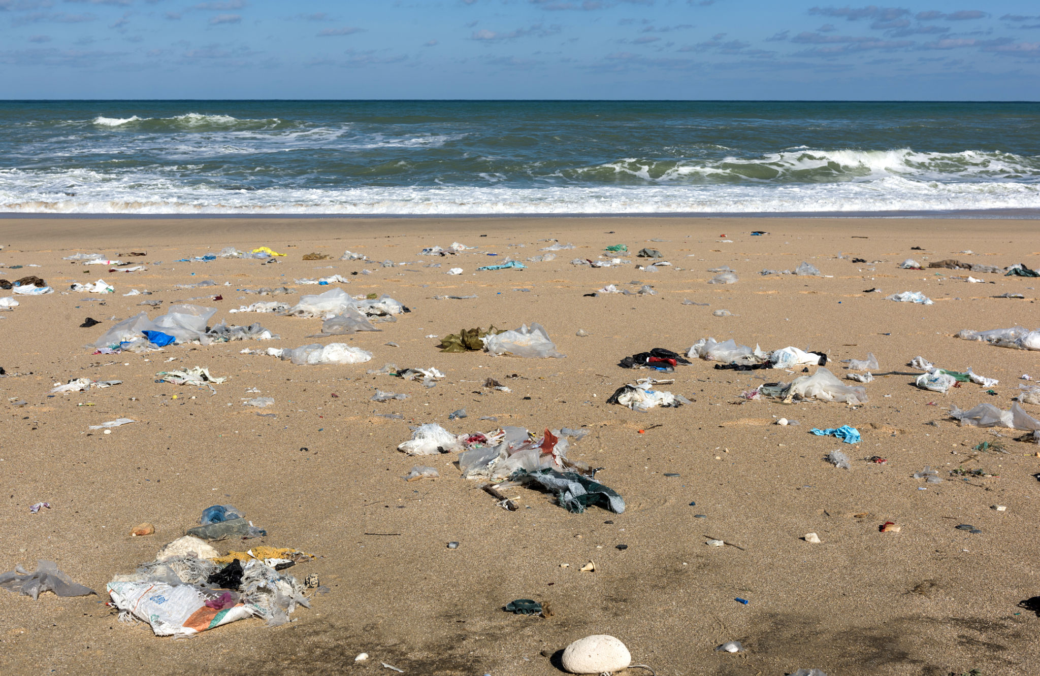 beach trash collection