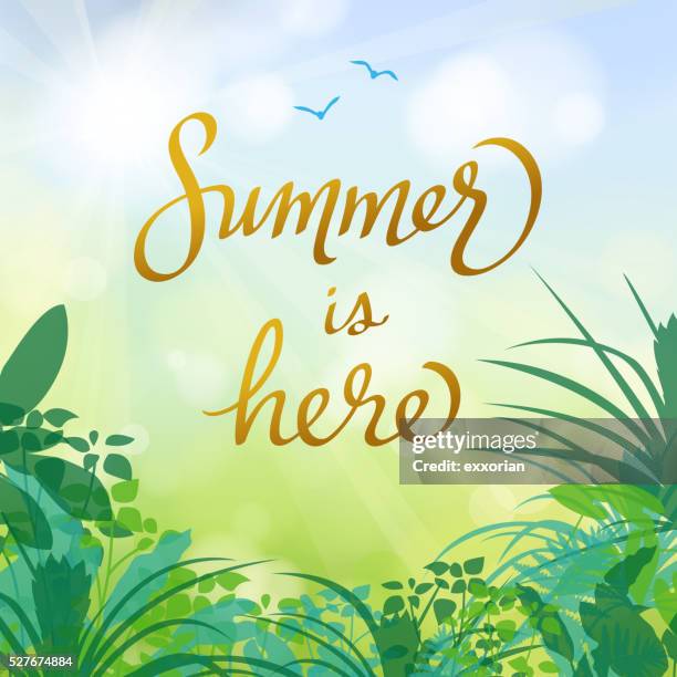 summer is here - amazon stock illustrations