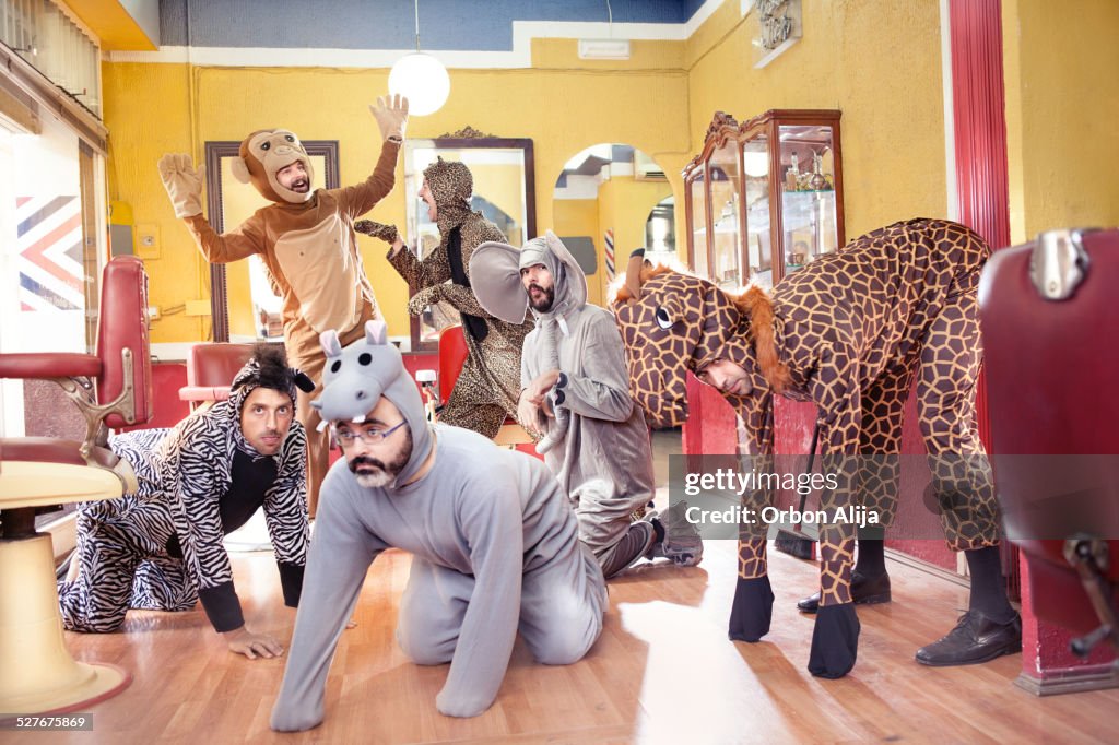 Animals in a Hair Salon