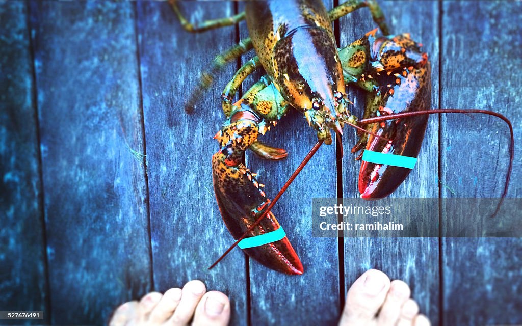 Man confronting lobster