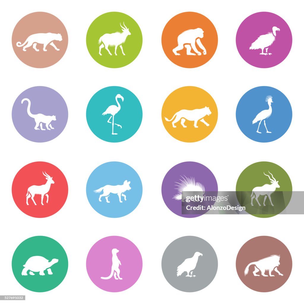 African Animal Icons