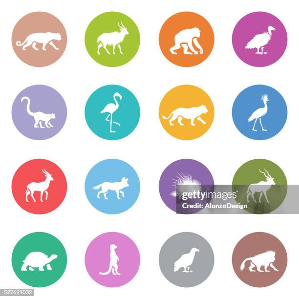 african animal icons - kudu stock illustrations