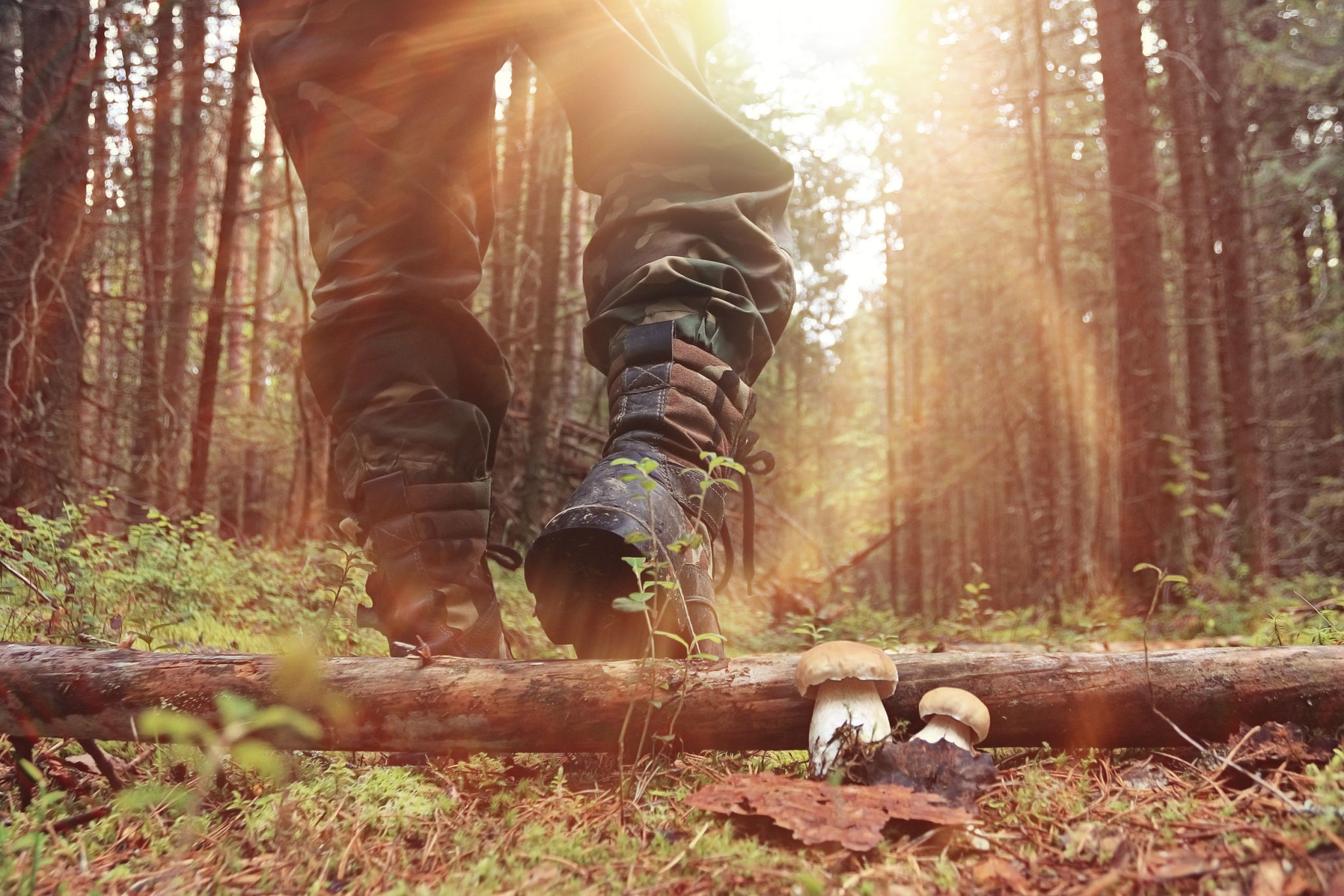 hunter in forest