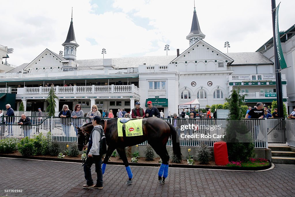 2016 Kentucky Derby - Previews