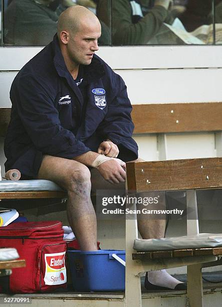 Paul Chapman for Geelong sits on the sidelines injured during the AFL Round 7 match between the Geelong Cats and the St Kilda Saints at the Telstra...