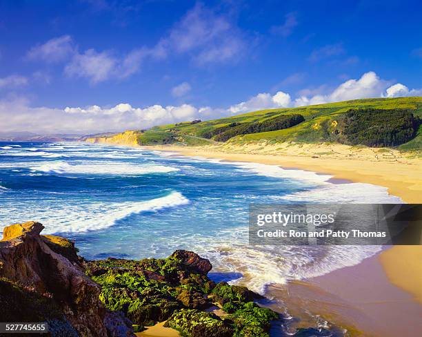 coastline pescadero state beach,carmel,pacific ocean,ca(p) - half moon bay california stockfoto's en -beelden