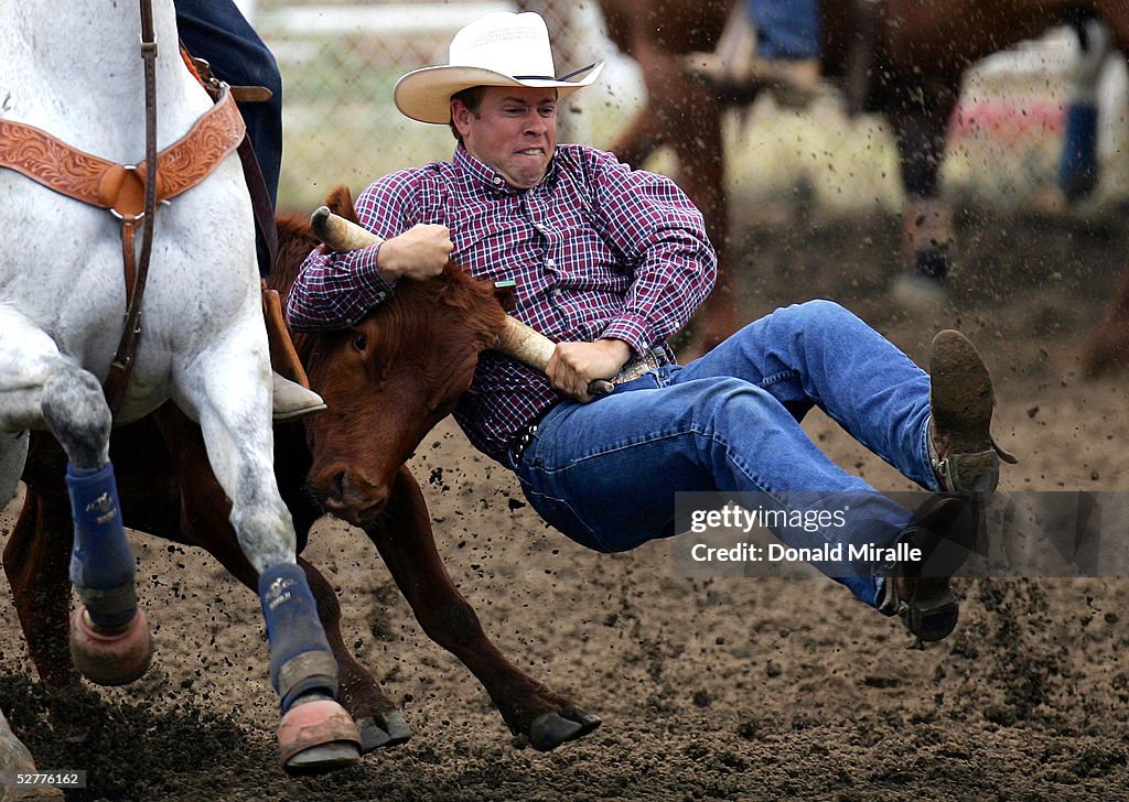 Tim Roberts Rodeo Timothy Hayes holds onto the horns of a steer during the Steer... News ...