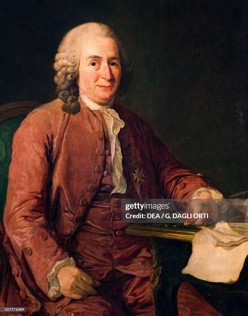 Carl Line Portrait of Carolus Linnaeus or Carl von Linne' , Swedish physician ...