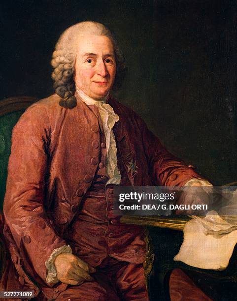 Karl Line Portrait of Carolus Linnaeus or Carl von Linne' , Swedish physician ...