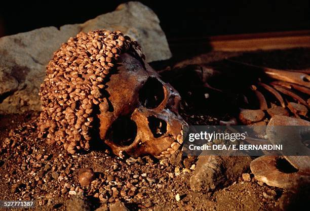 Skull of a Young prince, unearthed from a grave in the Arene Candide Cave, near Finale Ligure, Italy. Prehistory, Upper Paleolithic Period. Genoa...