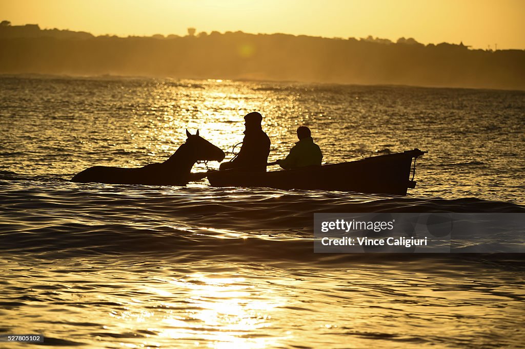 Warnambool Trackwork Session