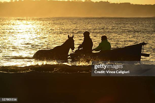 General view of trackwork session at Lady Bay beach as trainers take horses for a swim by boat ahead of day two of the Warrnambool Racing Carnival on...