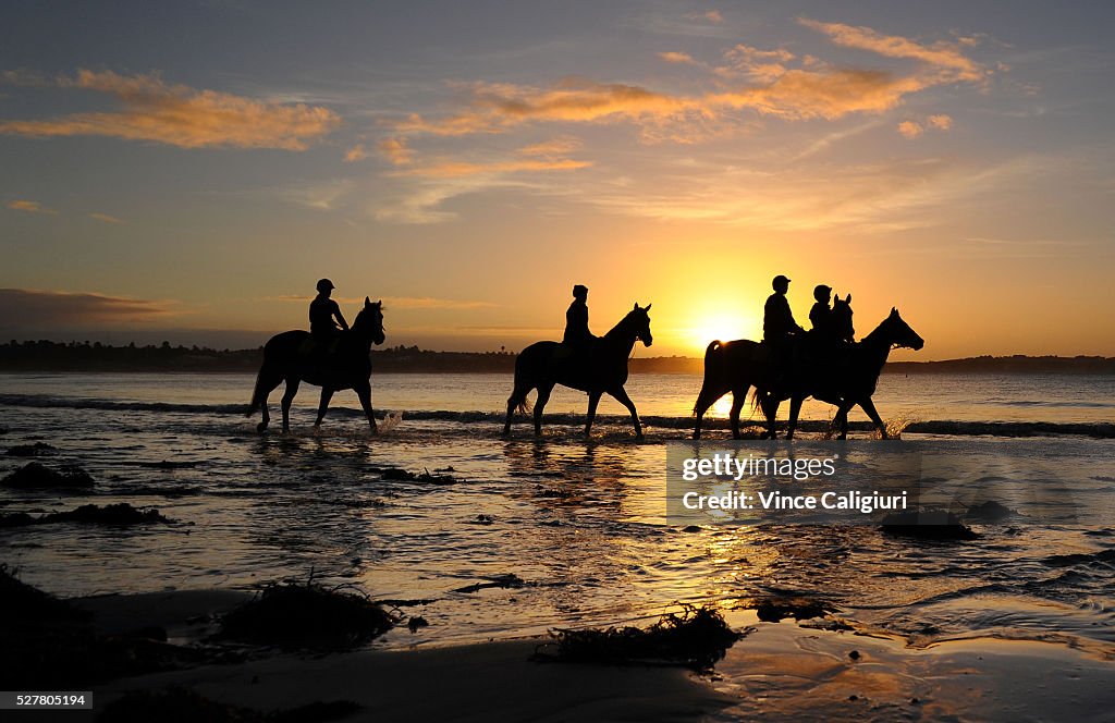 Warnambool Trackwork Session