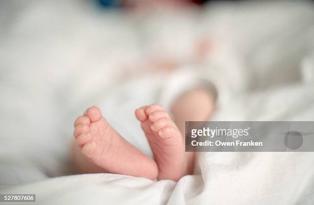 feet of a newborn baby girl - baby feet stock-fotos und bilder