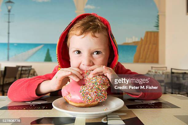 young boy eating doughnut, australia - donut stock pictures, royalty-free photos & images