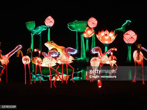chinese lantern festival lichter bild, beleuchtete flamingos, nächtlicher isoliert - flamingos stock-fotos und bilder