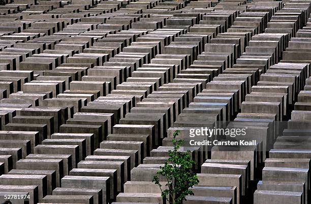 The completed Holocaust memorial is seen on May 10, 2005 in Berlin, Germany. The 'Memorial to the Murdered Jews of Europe' designed by US-architect...