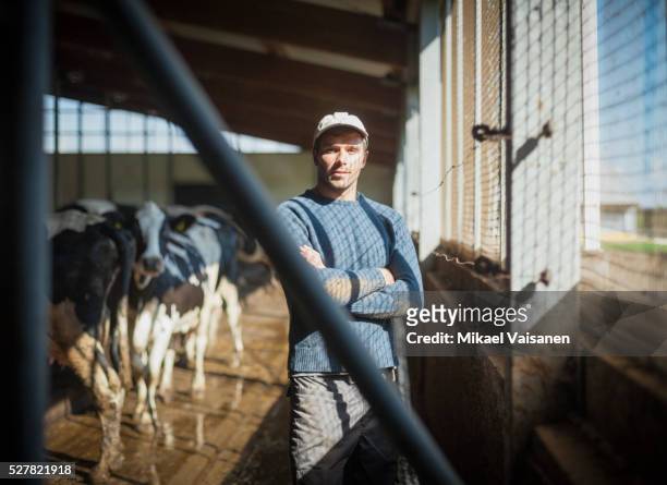 farmer on dairy farm - bauer stock-fotos und bilder