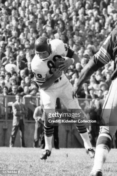 S: Tight end Mike Ditka of the Chicago Bears catches a pass during a game in the 1960's against the Green Bay Packers in Milwaukee, Wisconsin.