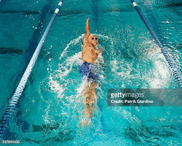 swimmer performing backstroke in pool - backstroke ストックフォトと画像